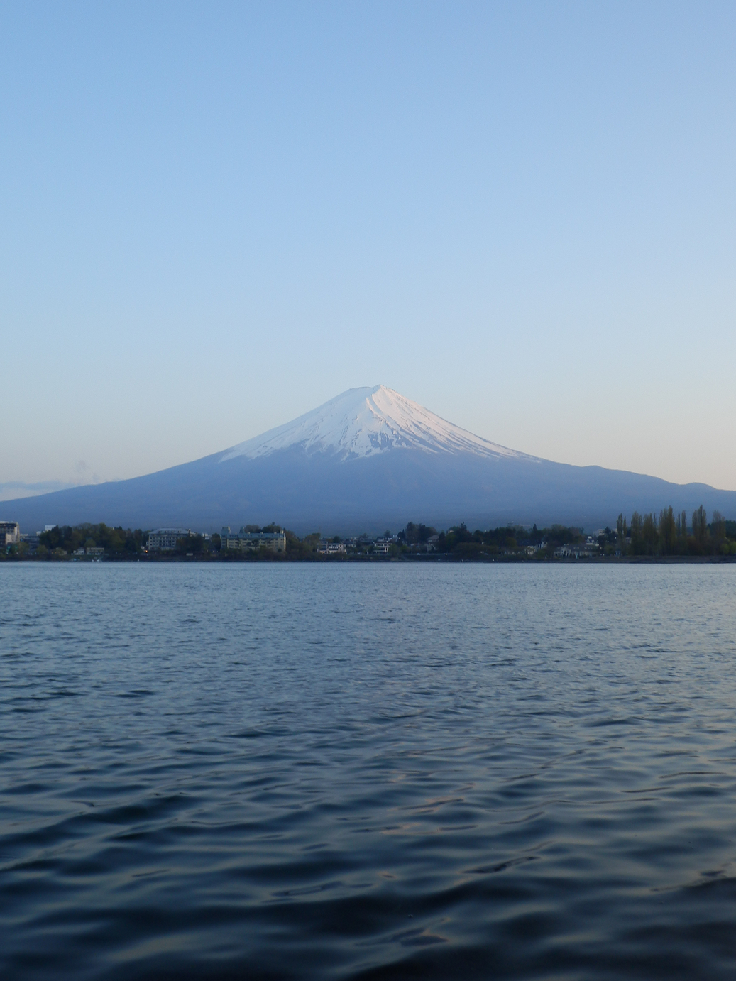 P428686.jpg
