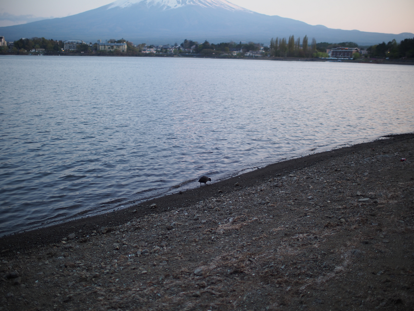 P428689.jpg