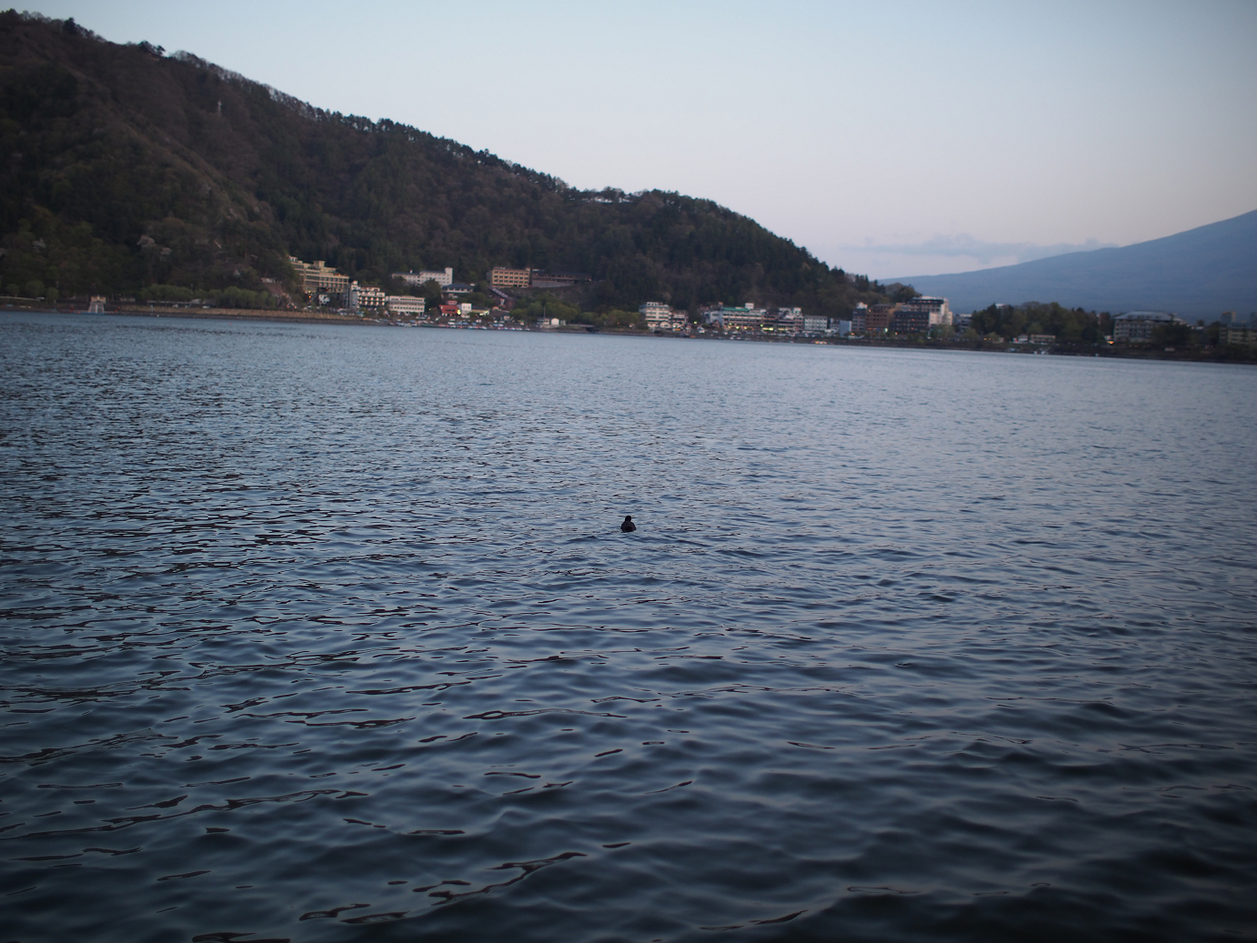 P428691.jpg