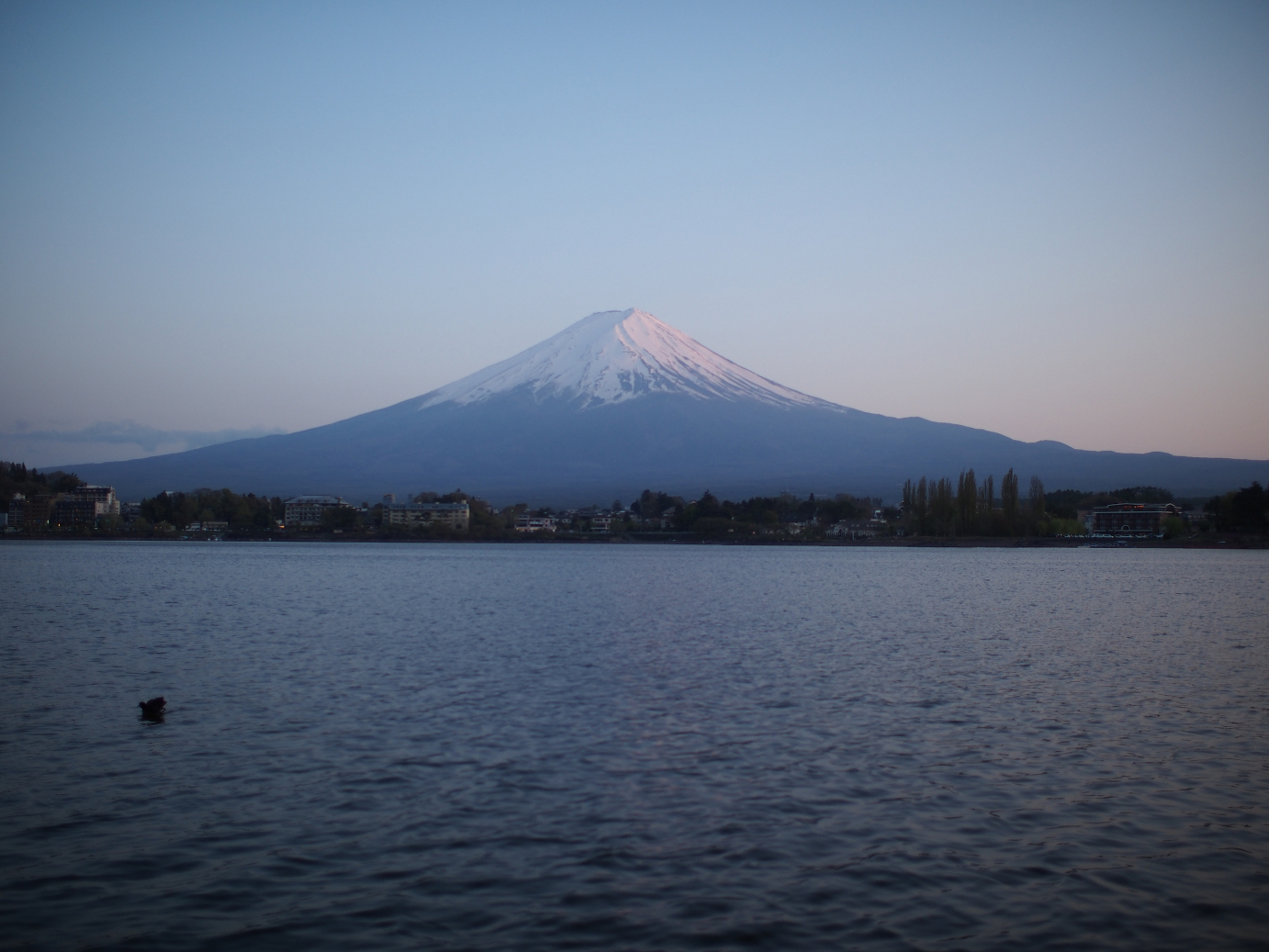 P428692.jpg