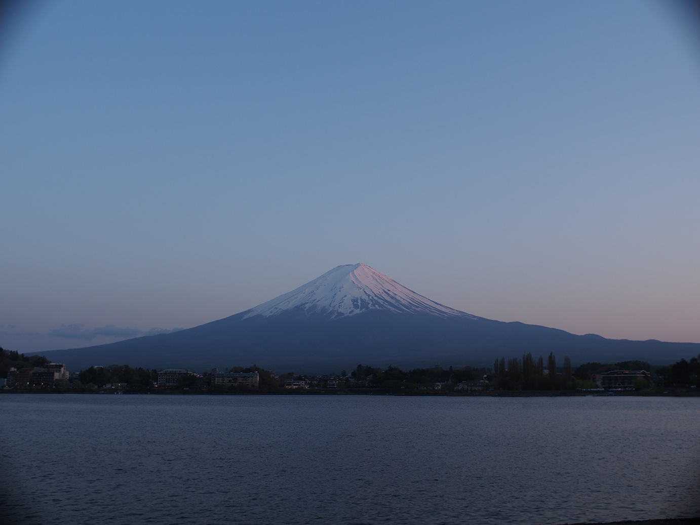 P428695.jpg