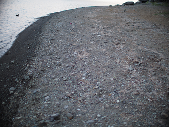 P428700_thumb.png