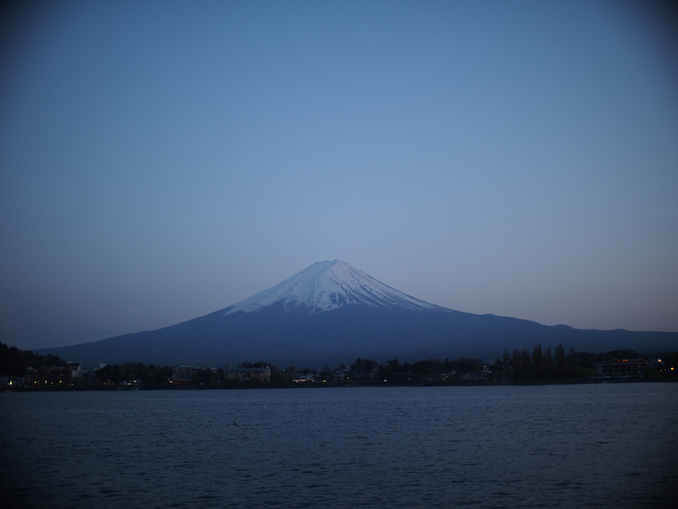 P428702.jpg