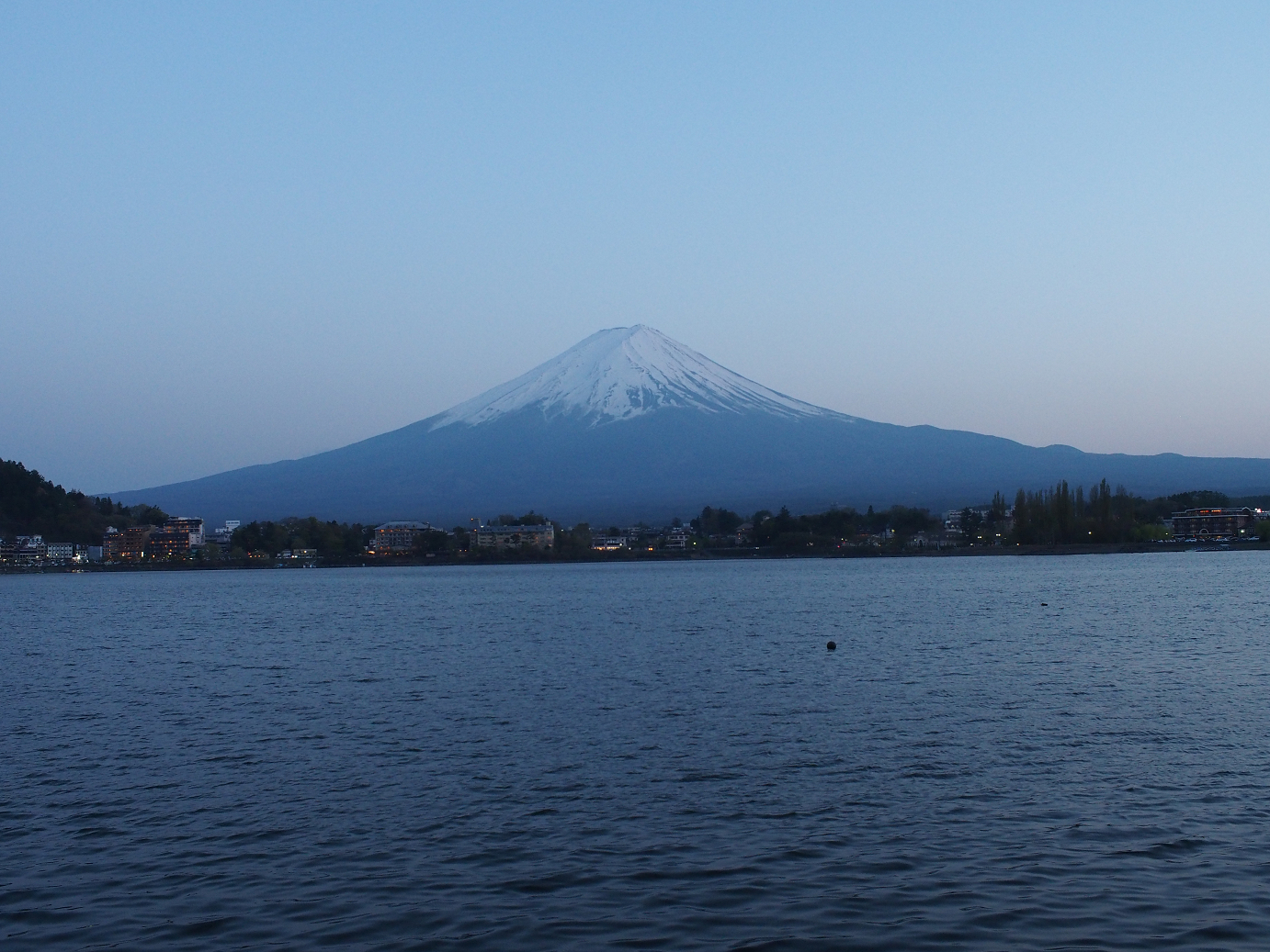 P428703.jpg