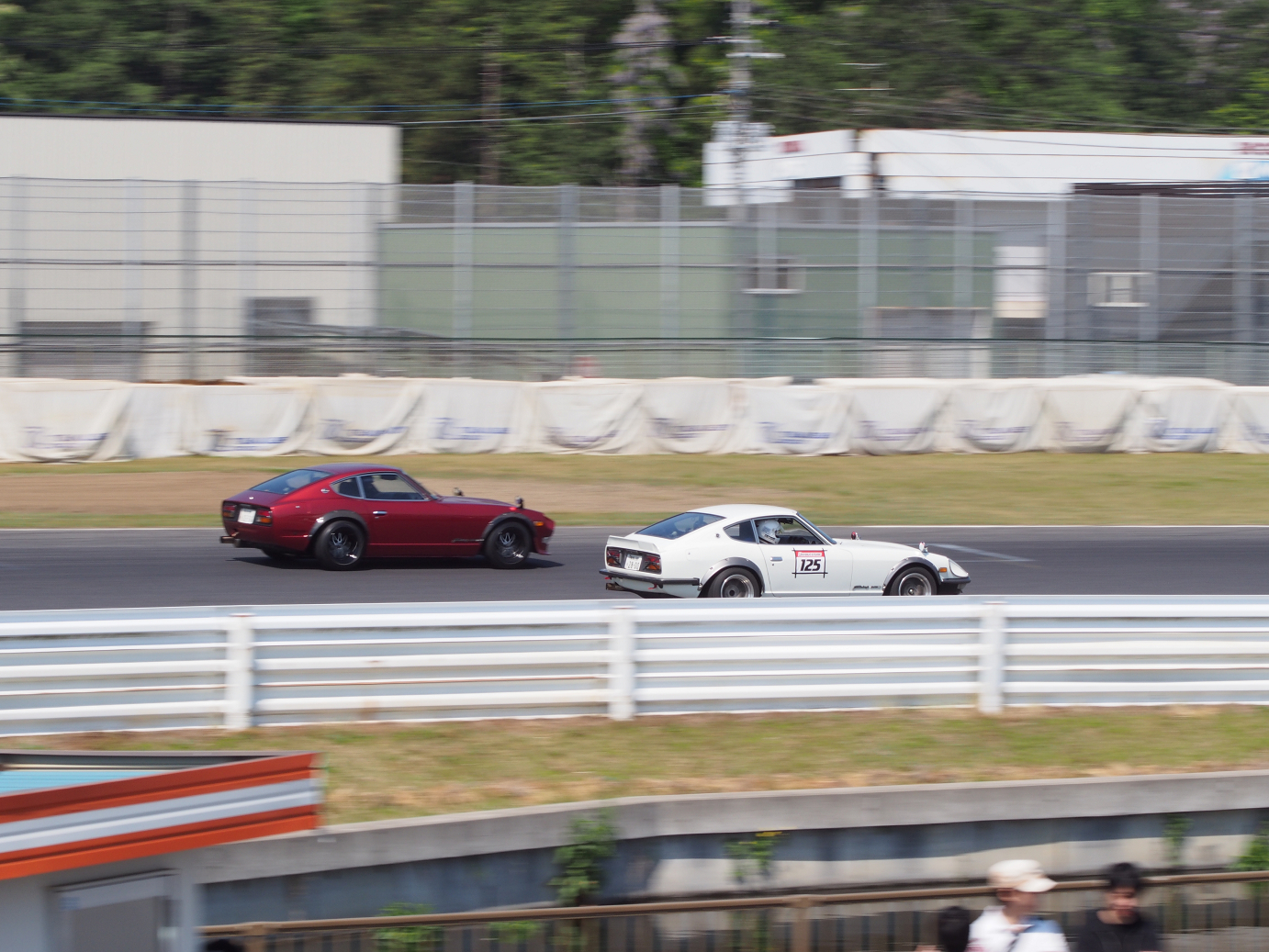 P5050038.jpg
