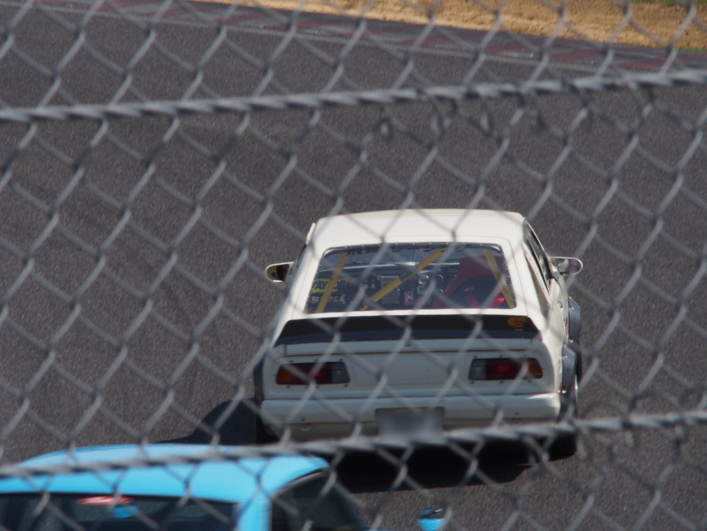 P5050043.jpg