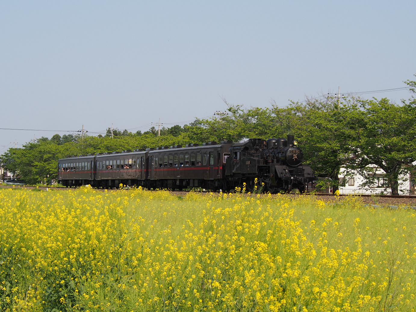 P5050237.jpg