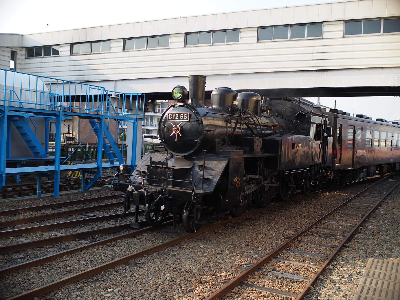 P5050341.jpg