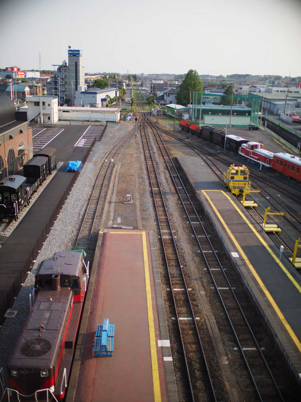 P5050352.jpg