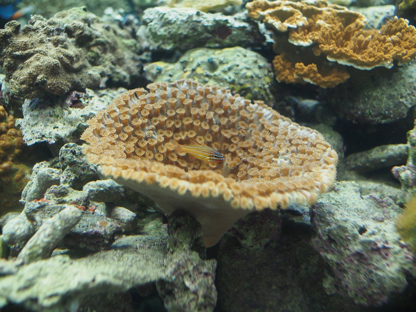 P5150173.jpg