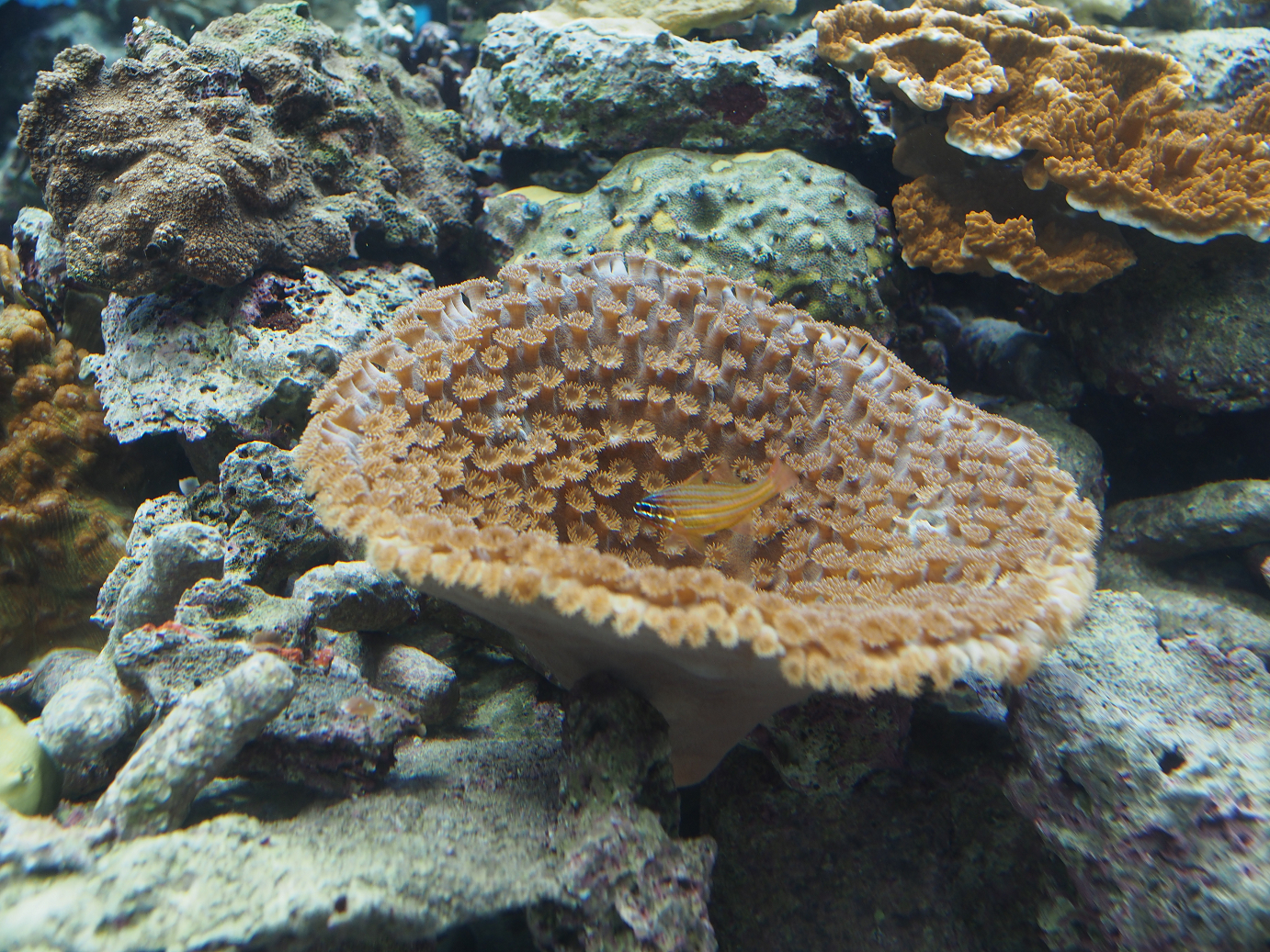 P5150176.jpg