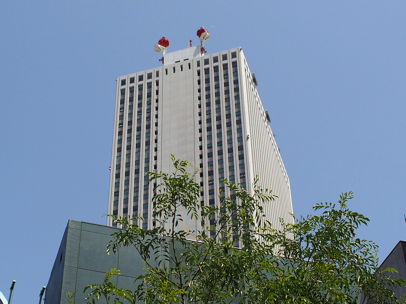 P5150315.jpg