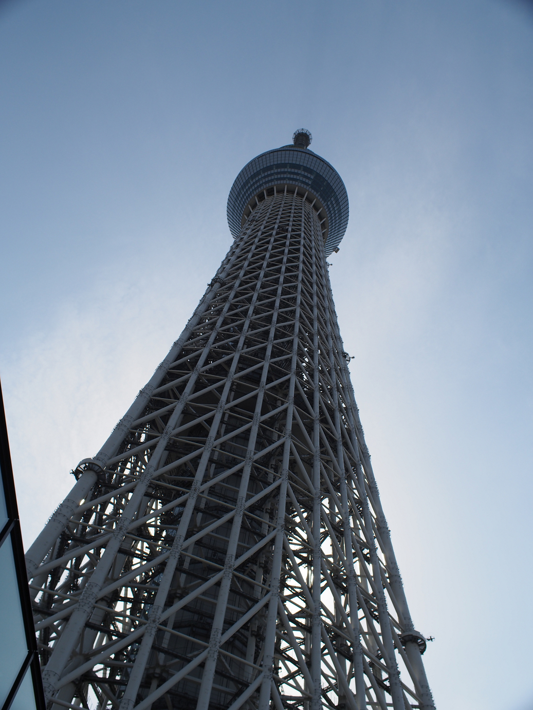 P5150342.jpg