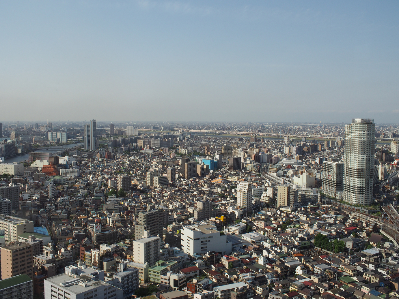 P5150371.jpg
