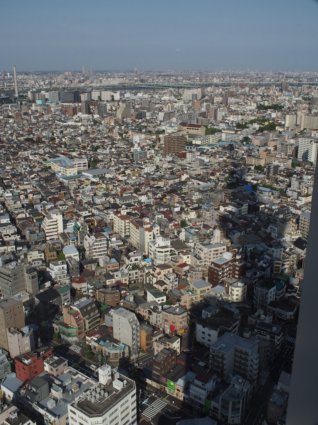 P5150373.jpg