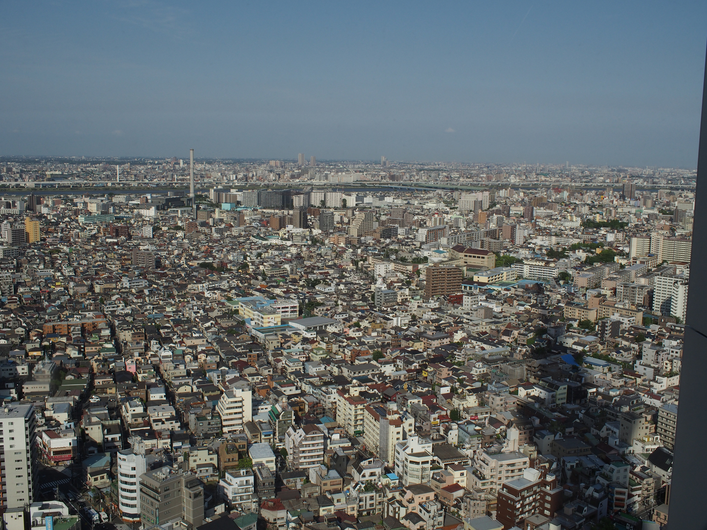P5150374.jpg