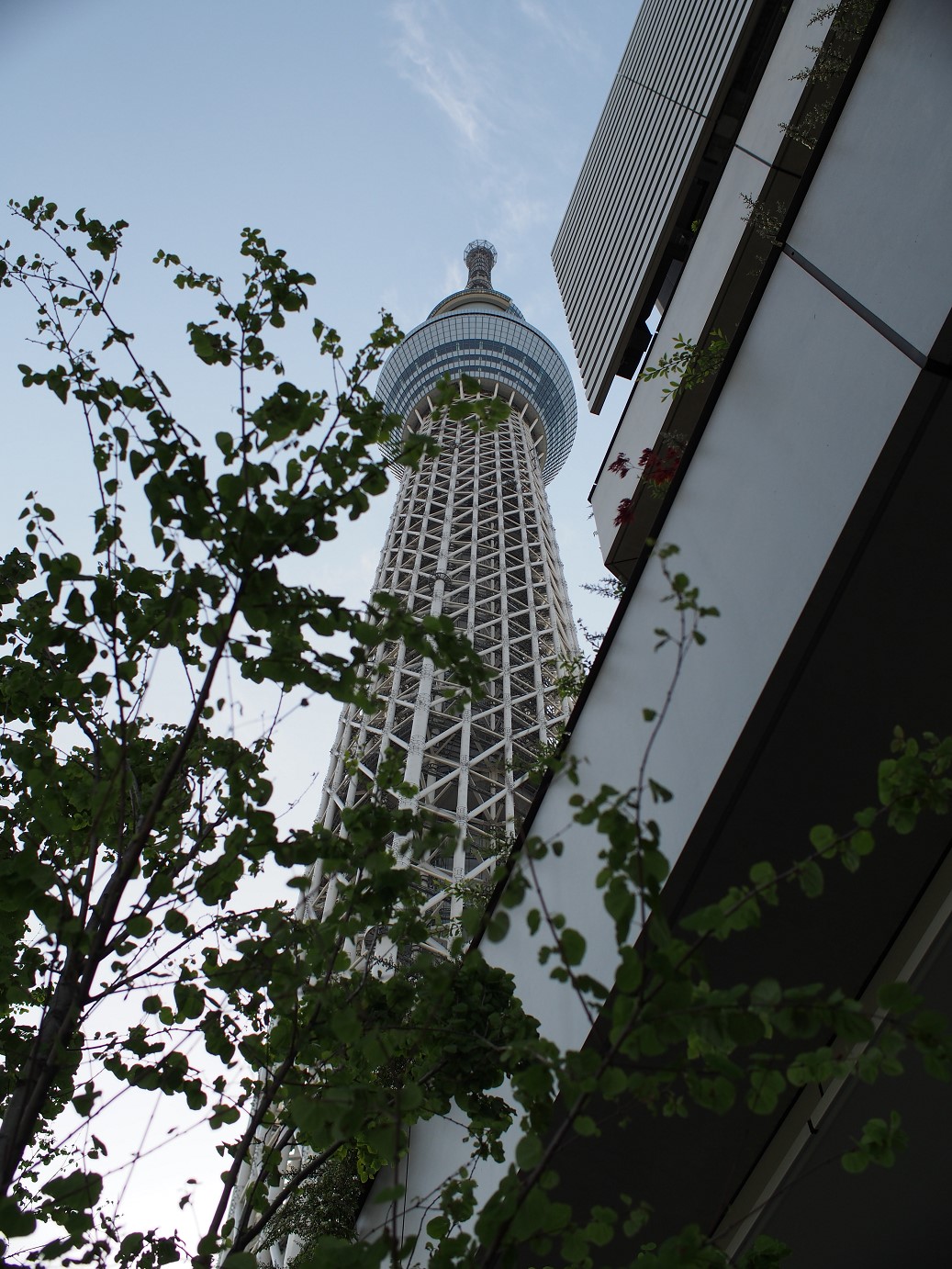 P5150390.jpg