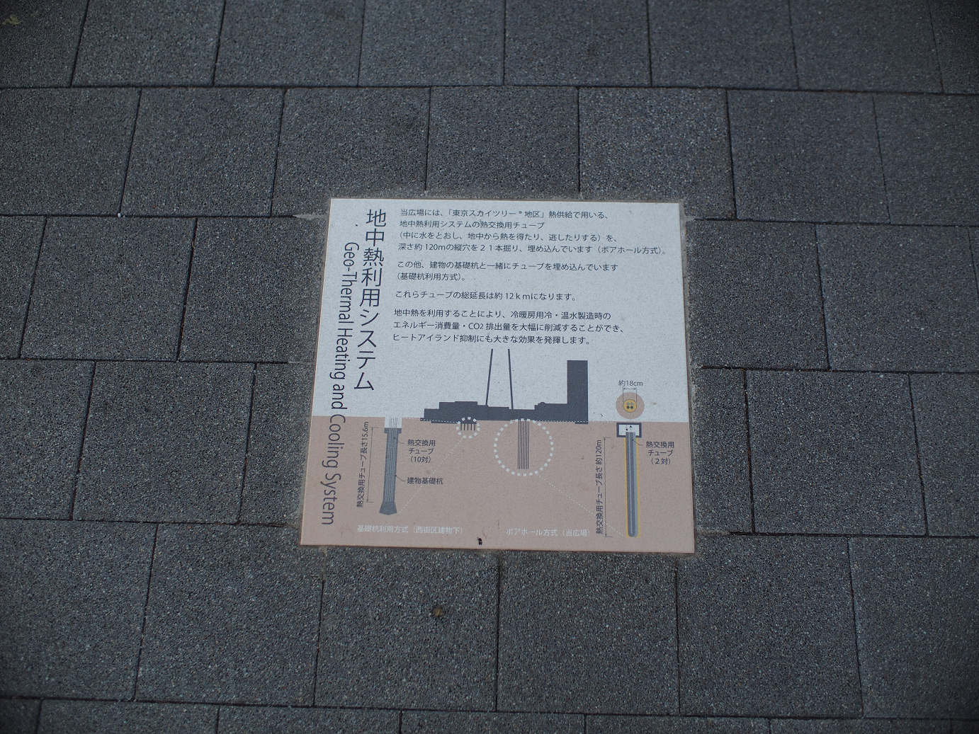 P5150394.jpg