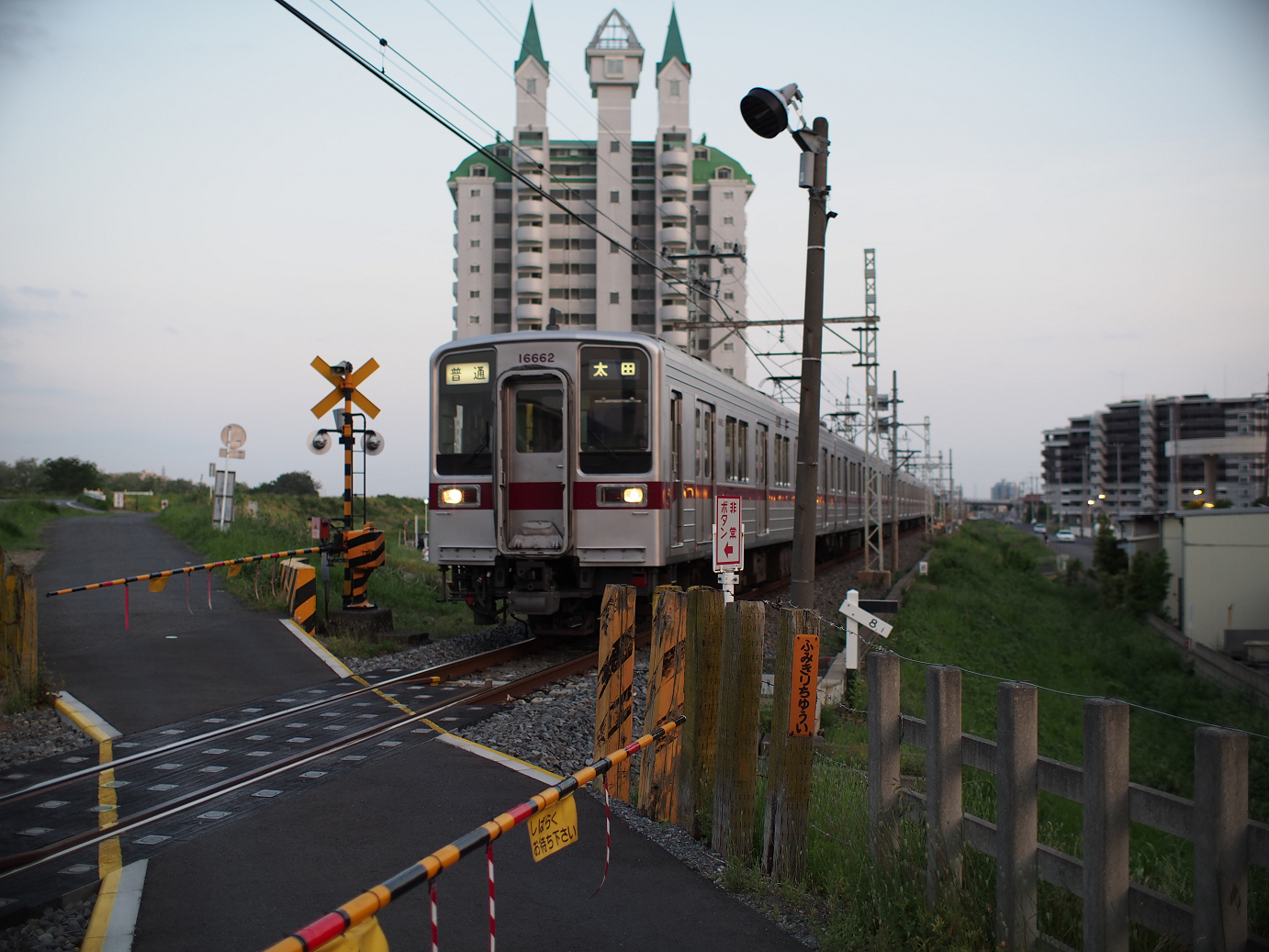 P5150407.jpg