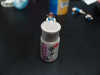 P5170419_thumb.png