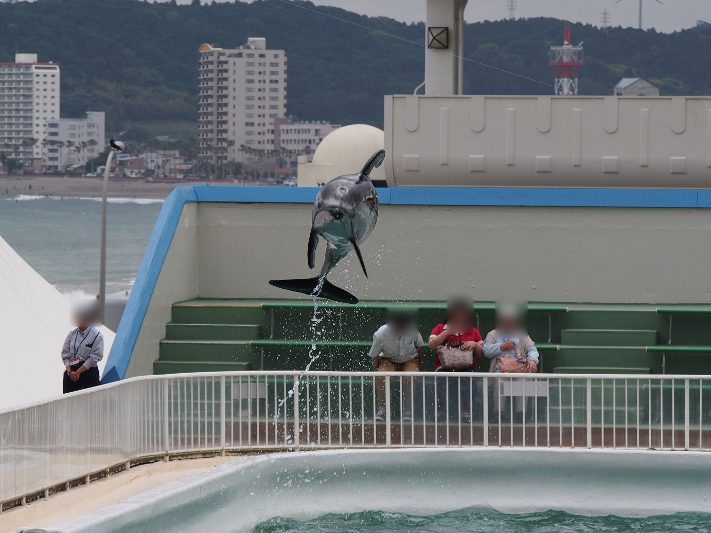 P5260257.jpg