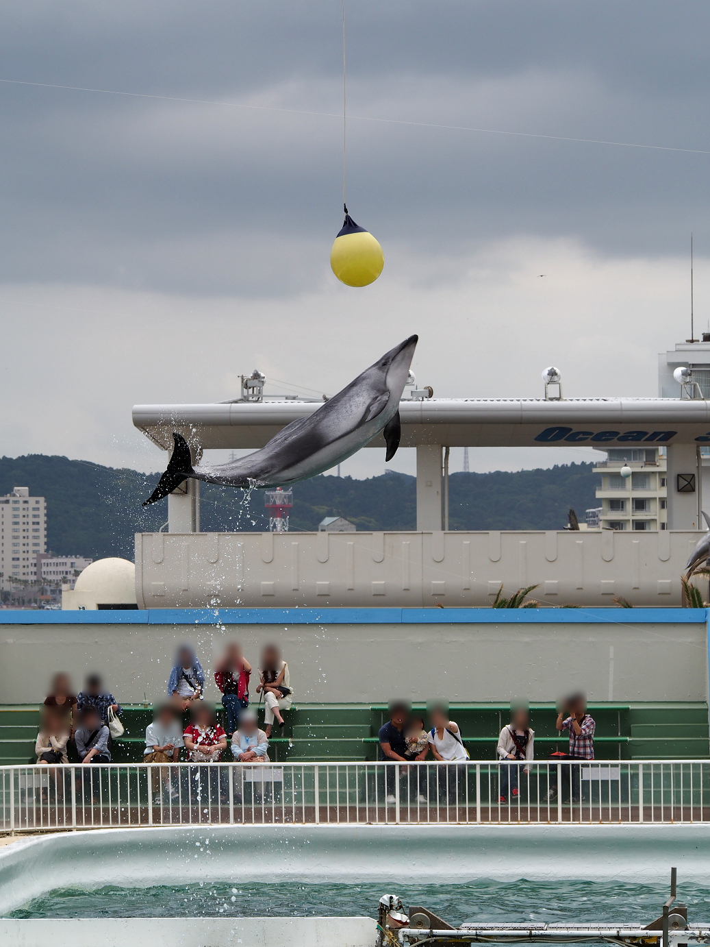 P5260268.jpg