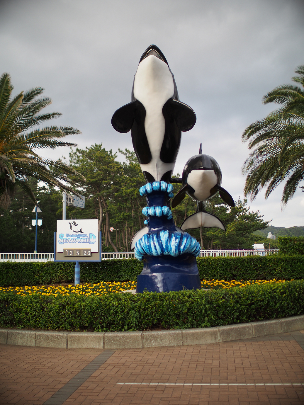 P5260343.jpg