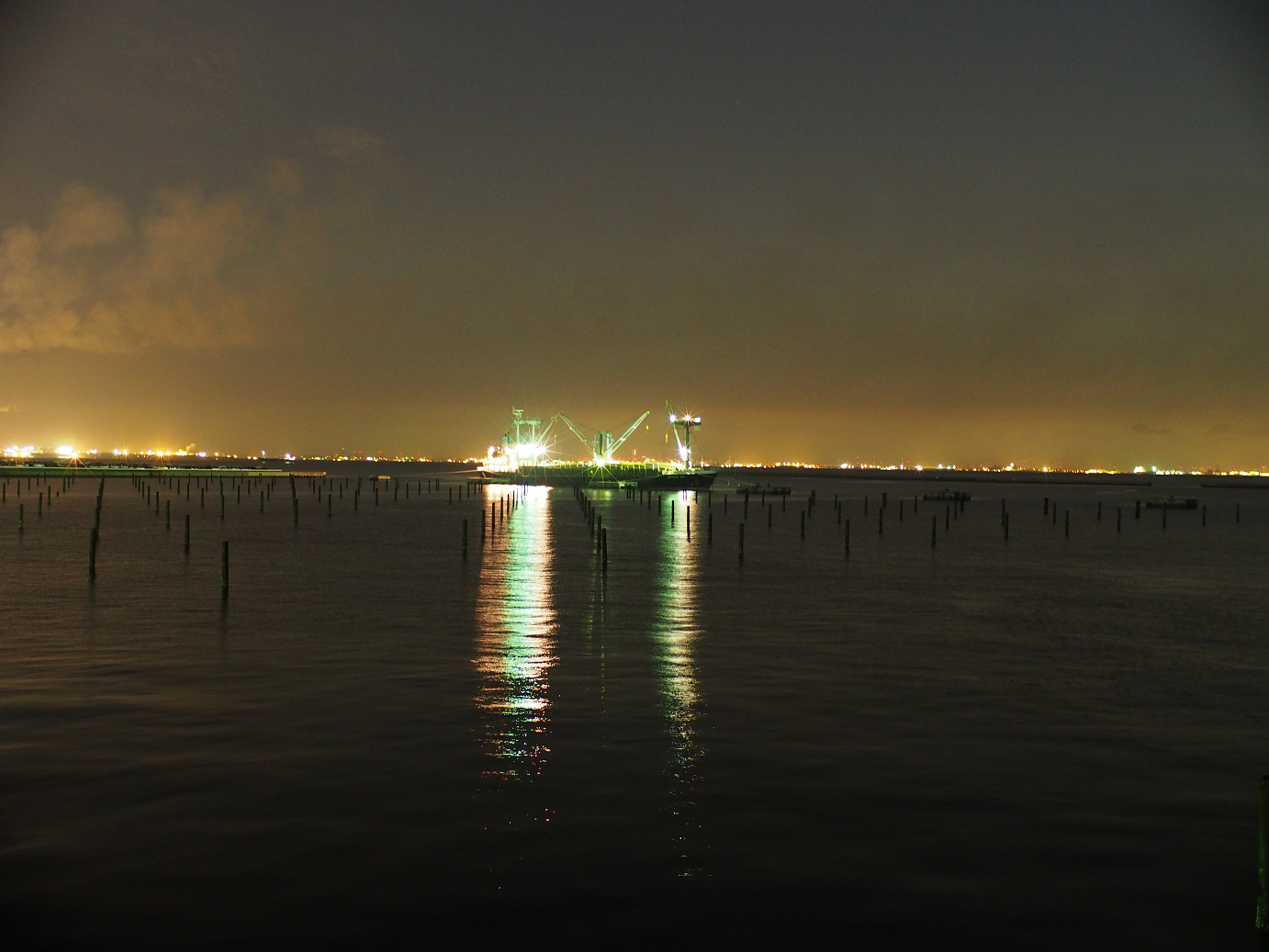 P5260351.jpg