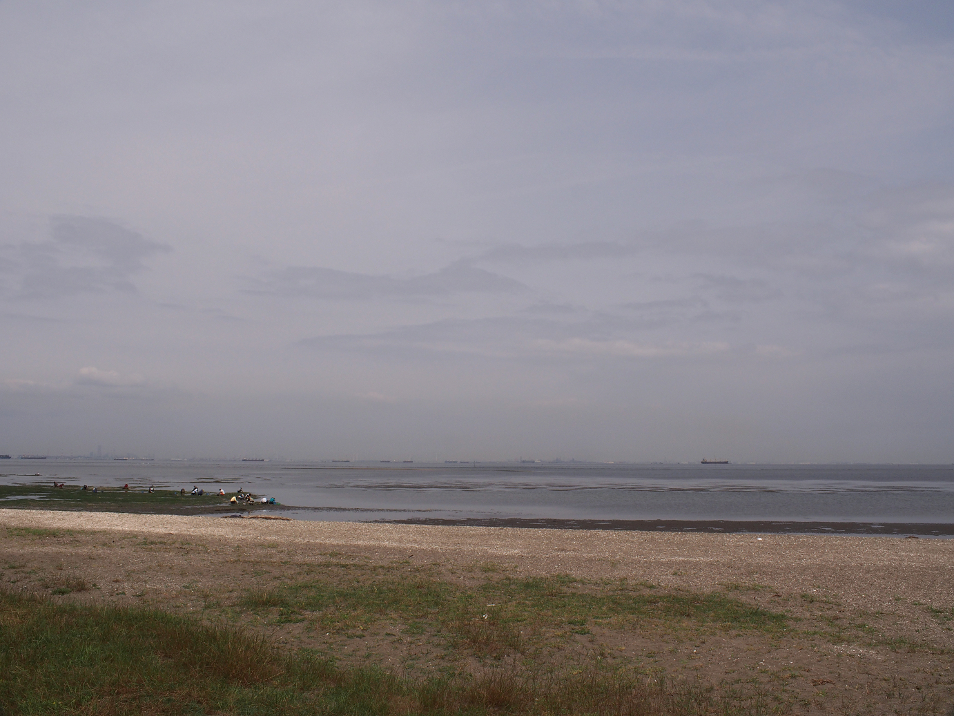 P5260362.jpg