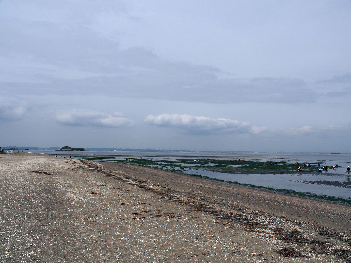 P5260364.jpg