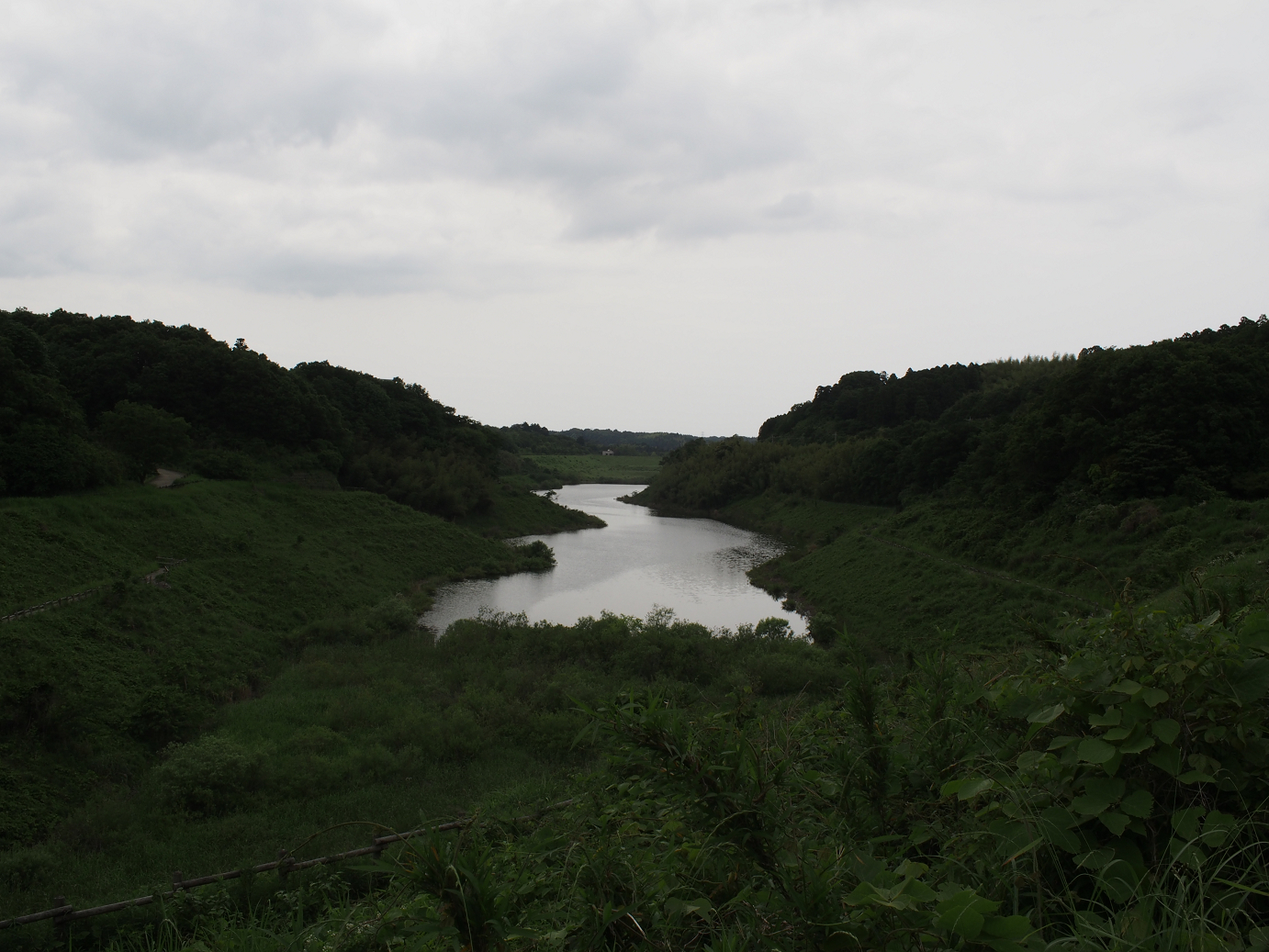 P5260421.jpg