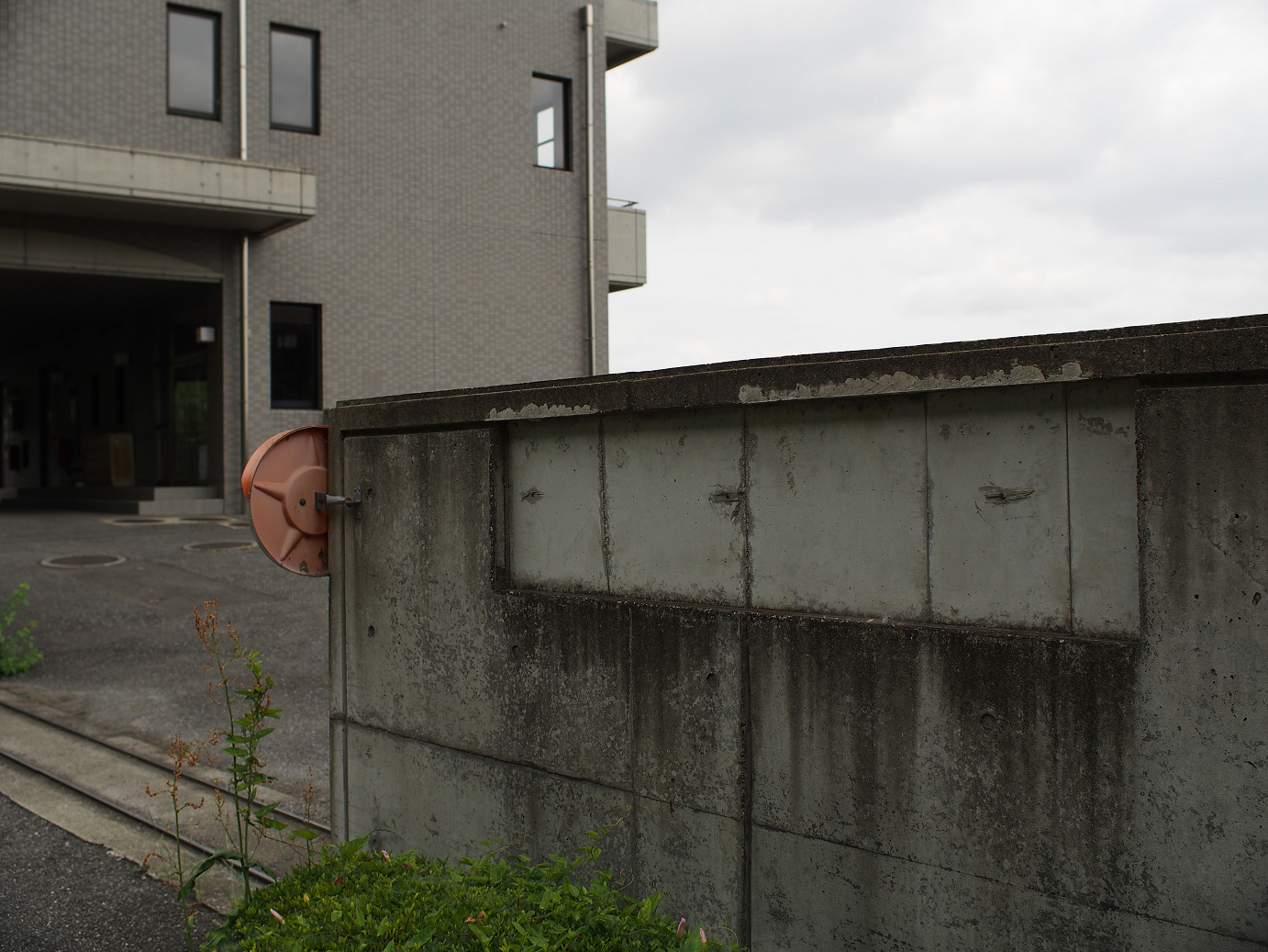 P5260423.jpg