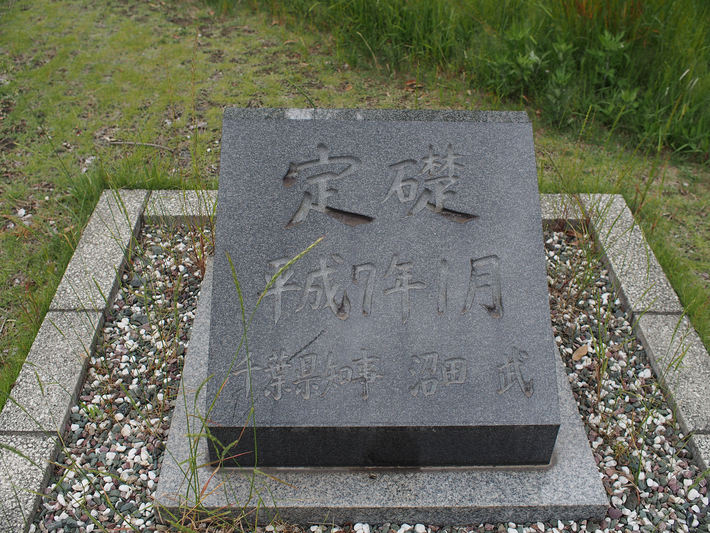 P5260428.jpg