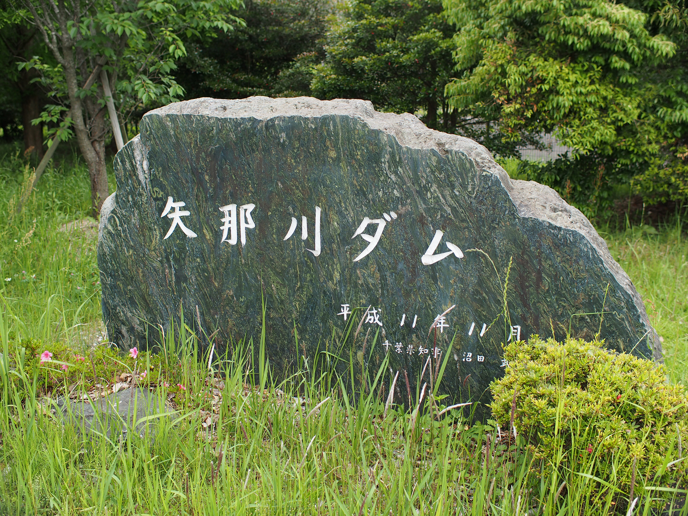 P5260430.jpg