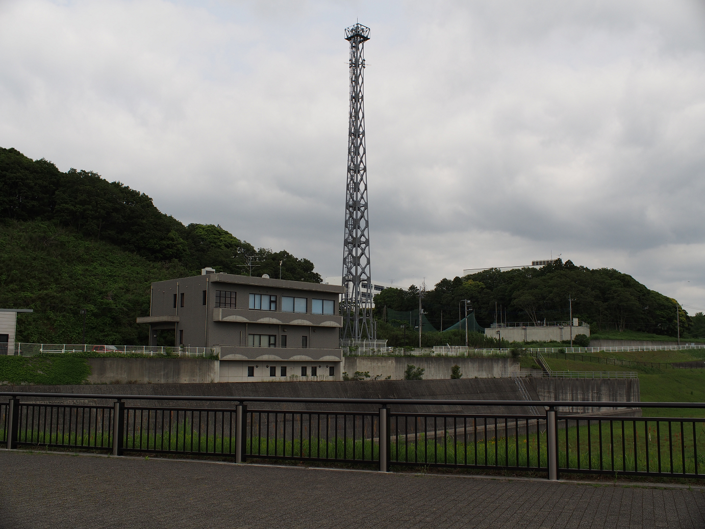 P5260433.jpg