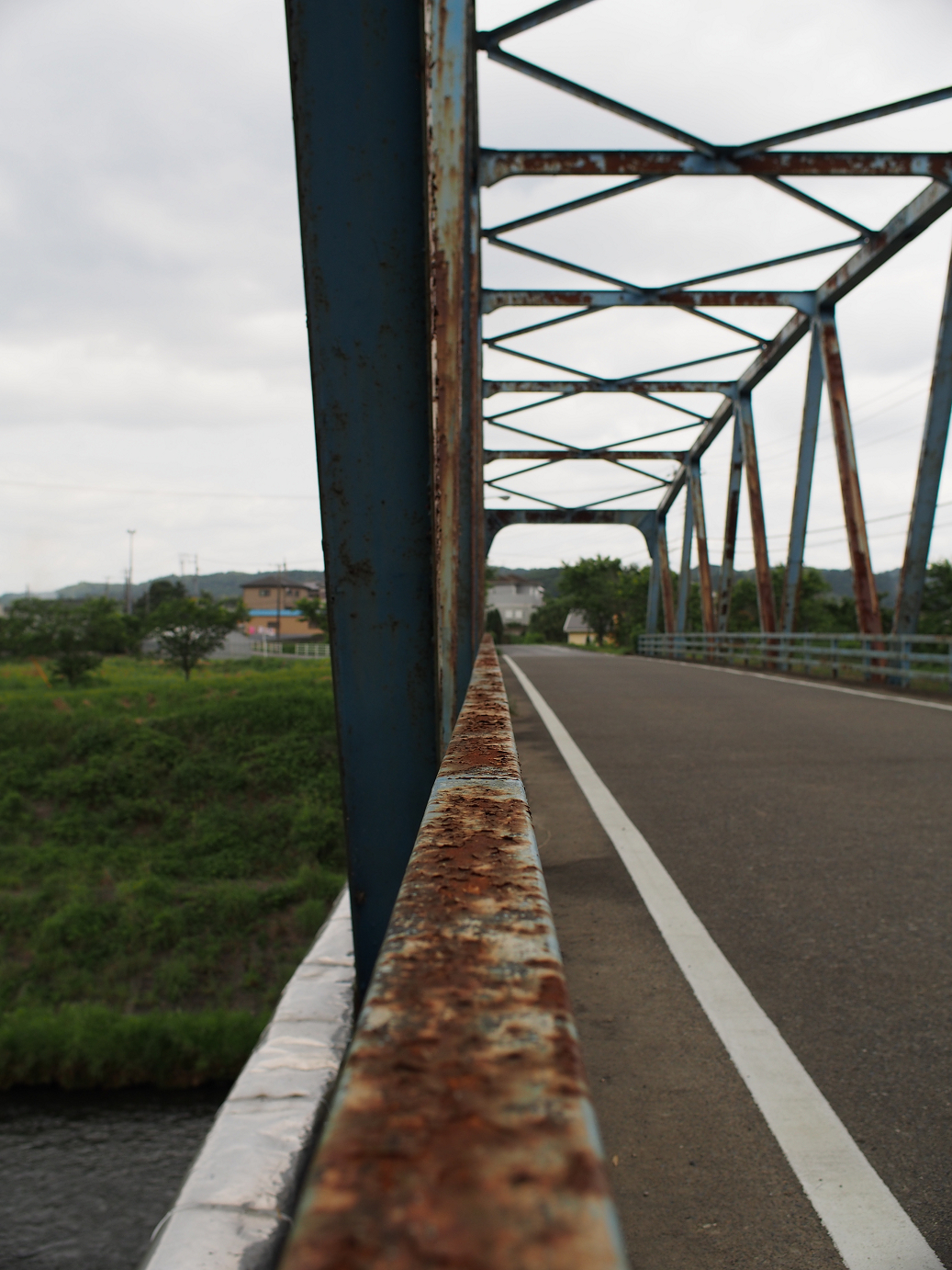 P5260445.jpg
