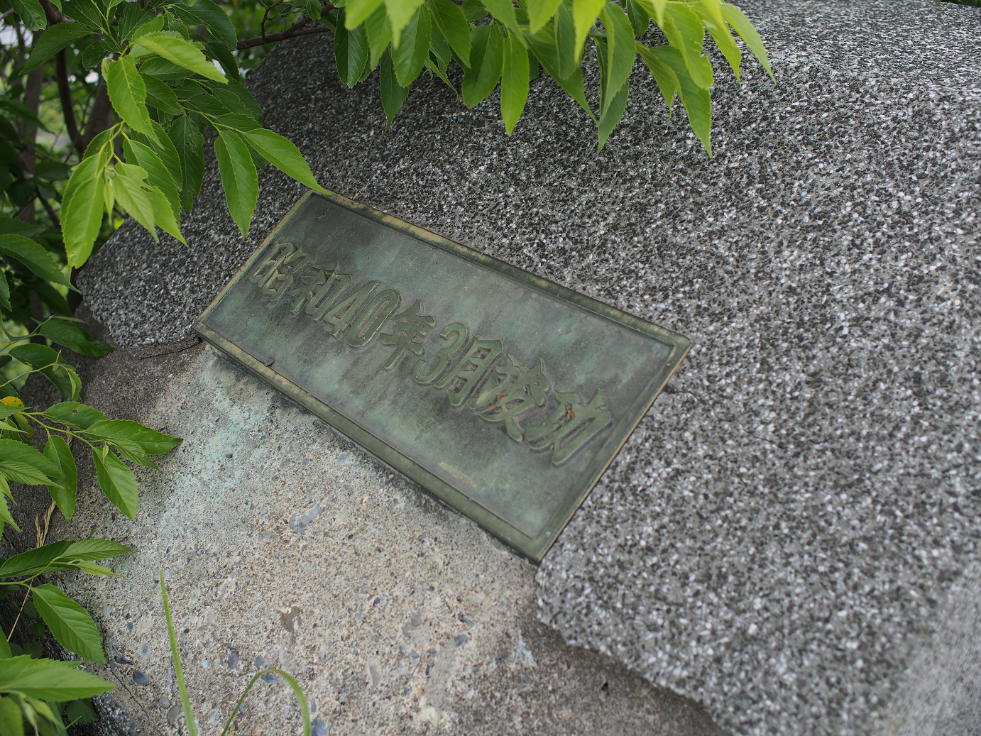 P5260448.jpg