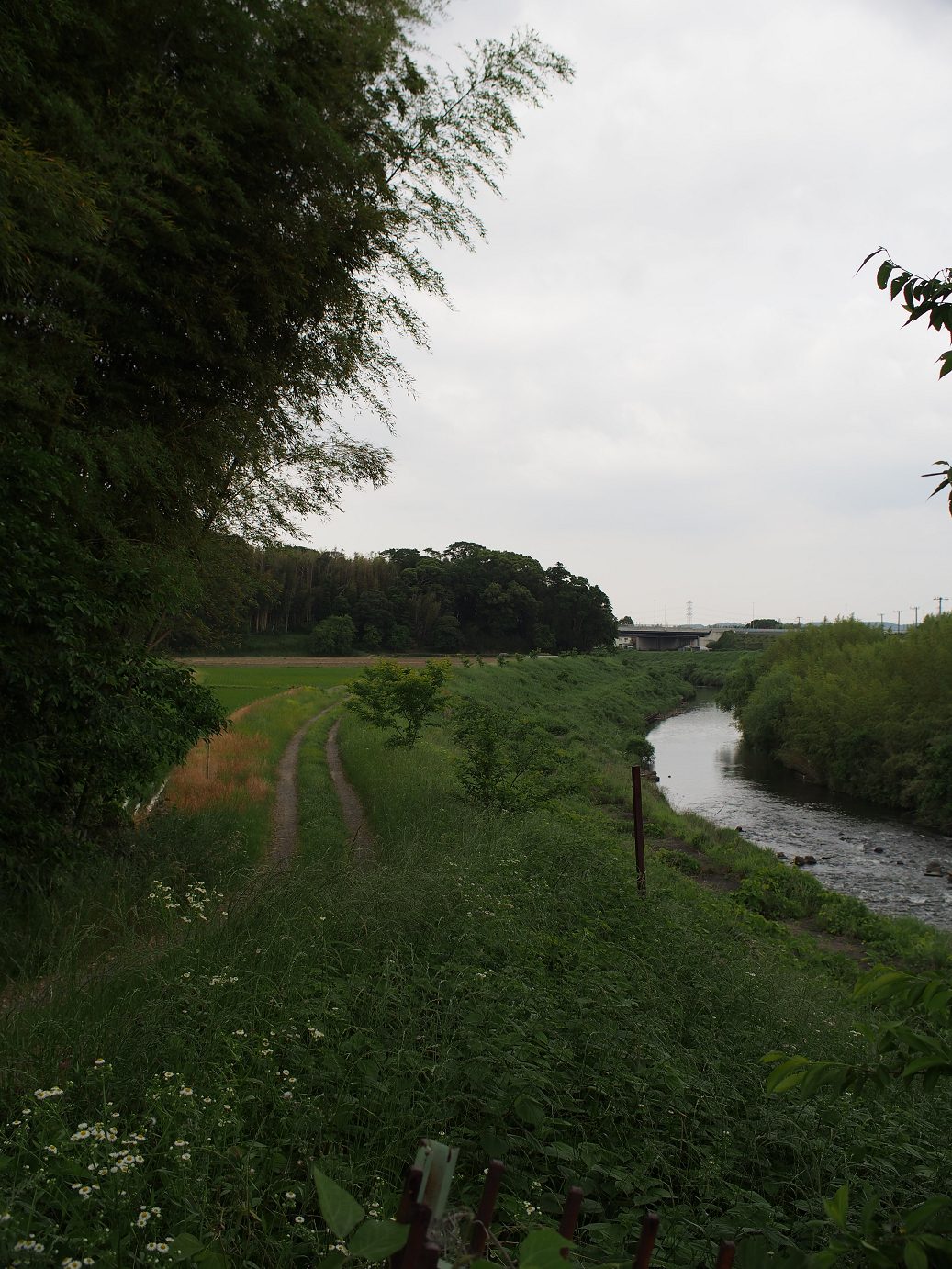 P5260449.jpg