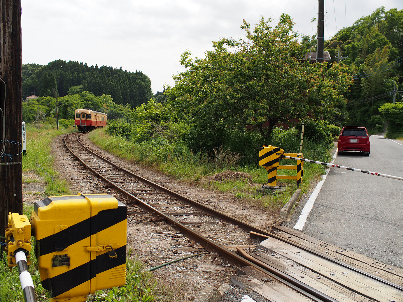 P5260470.jpg