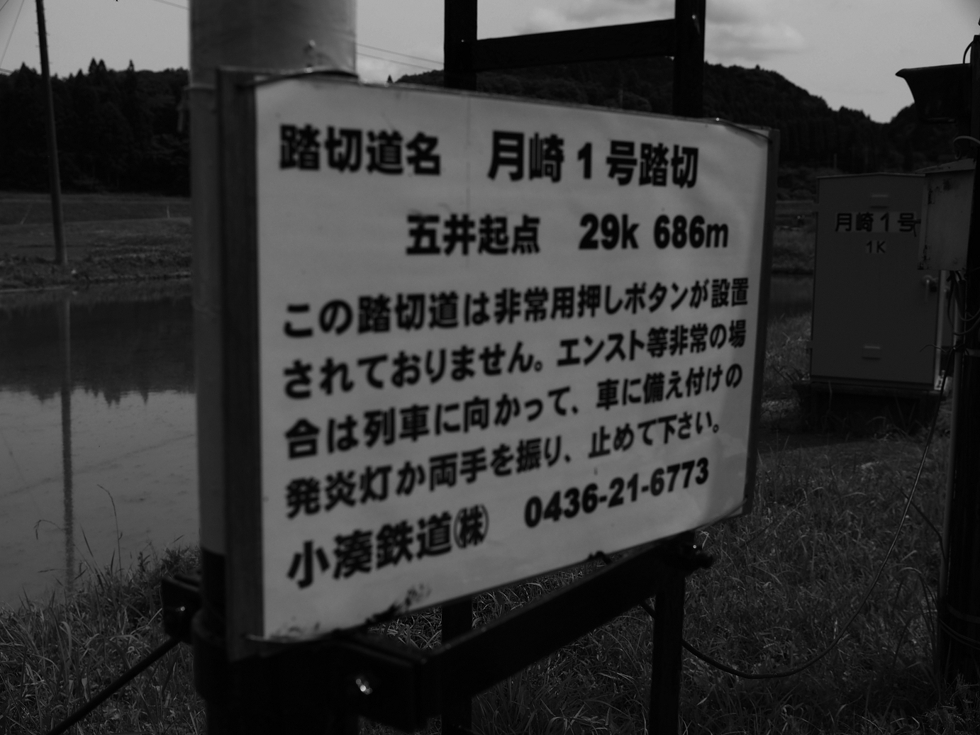 P5260474.jpg