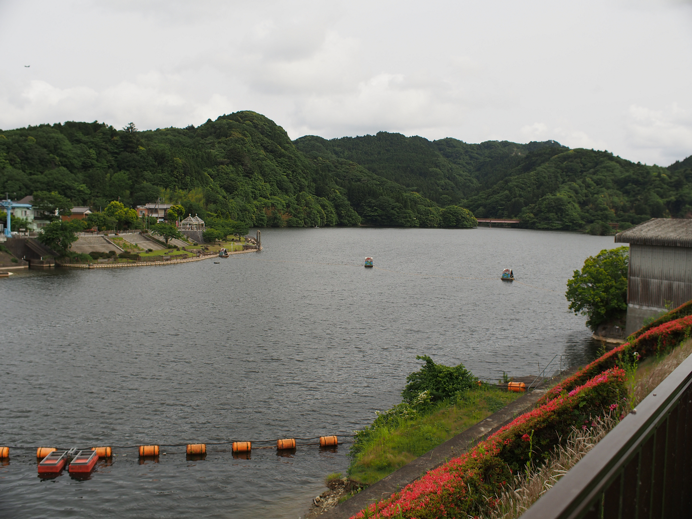 P5260491.jpg