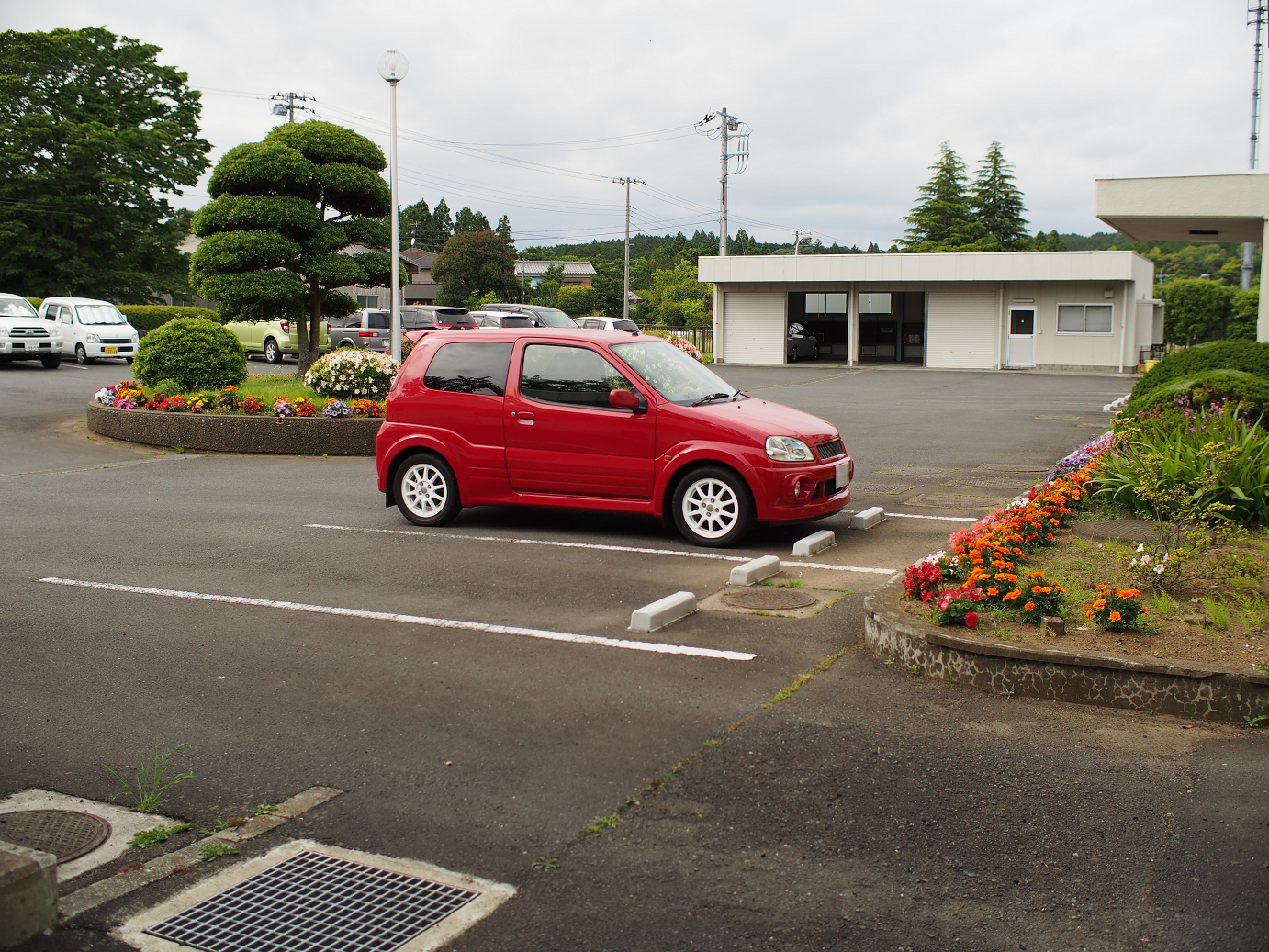 P5260497.jpg