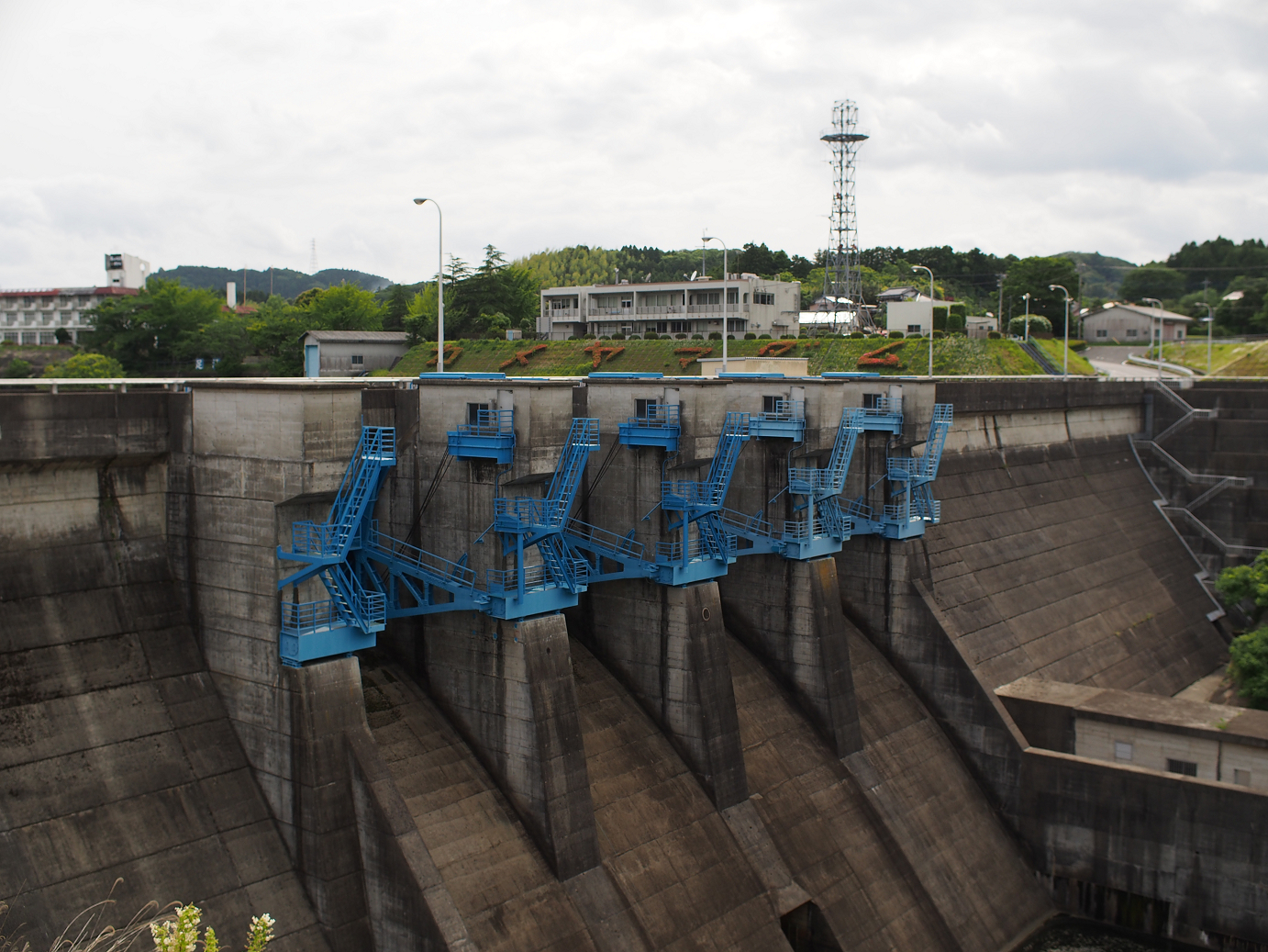P5260500.jpg