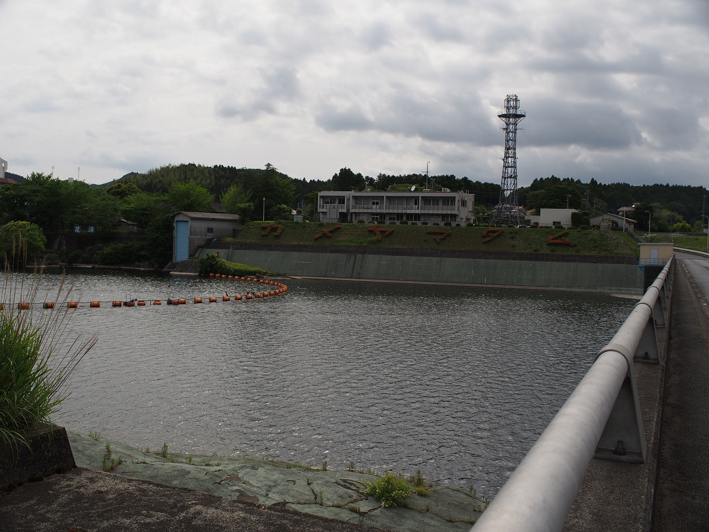 P5260509.jpg