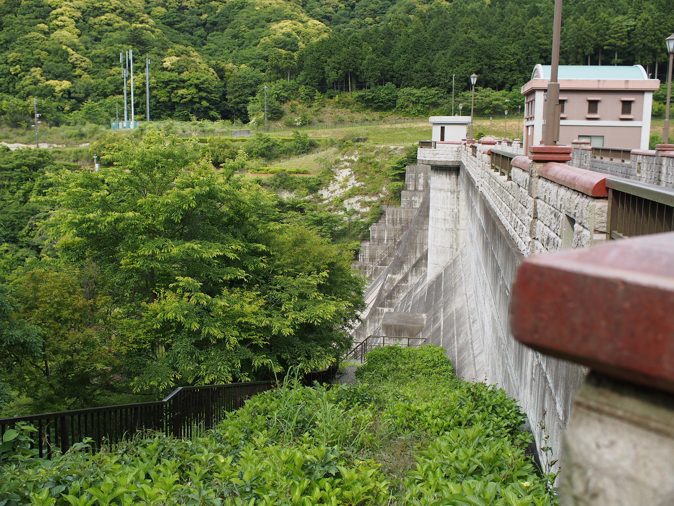 P5260517.jpg