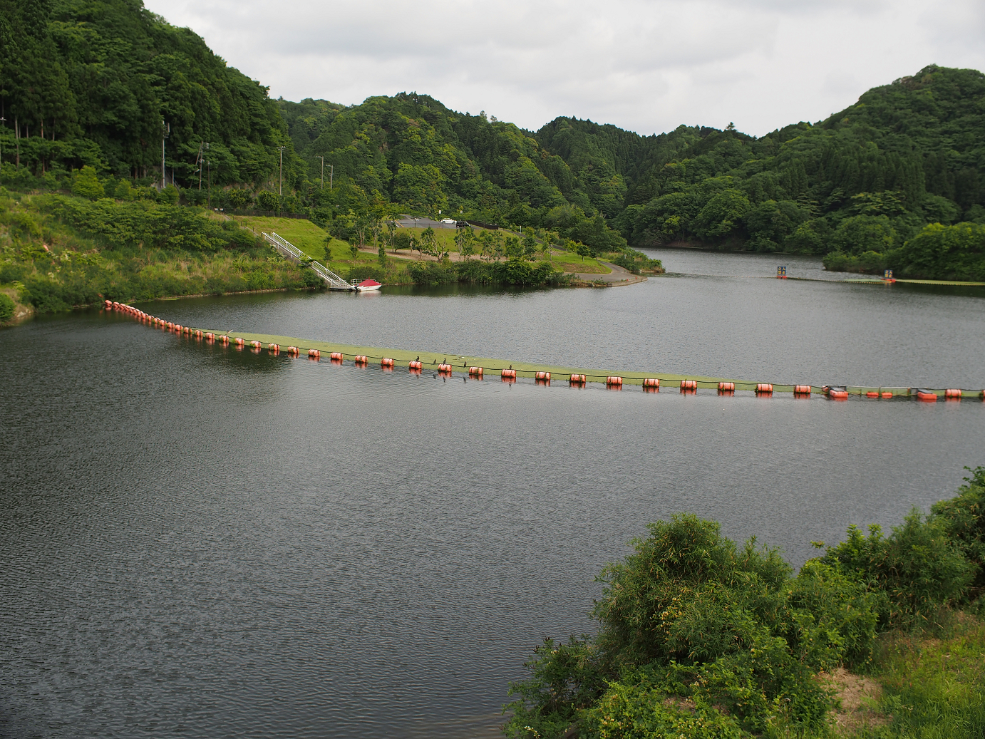 P5260520.jpg