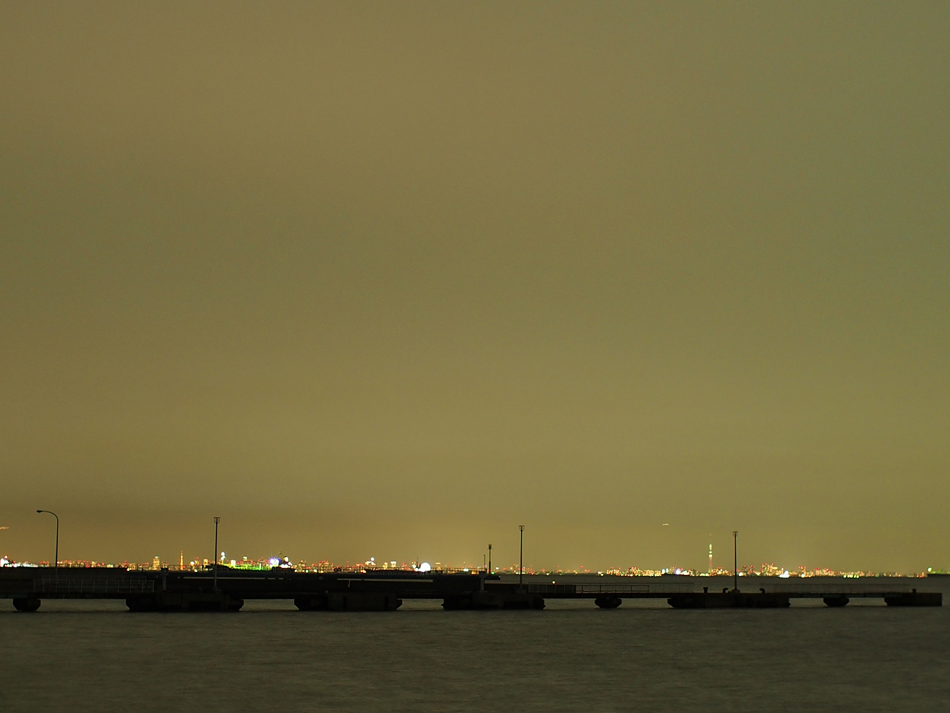 P5260564.jpg