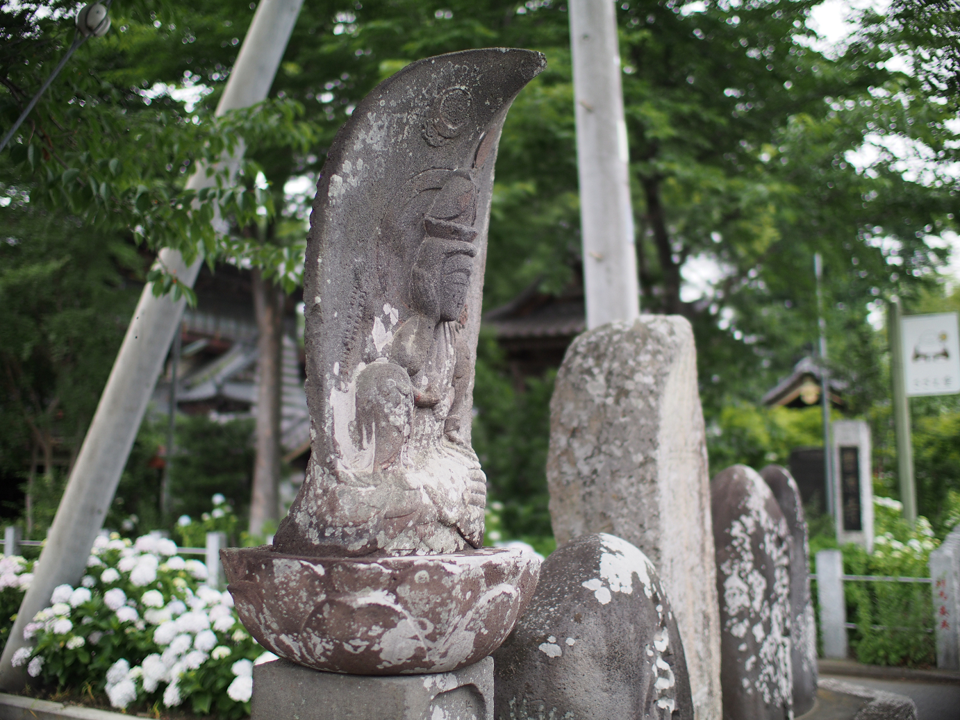 P6150001.jpg