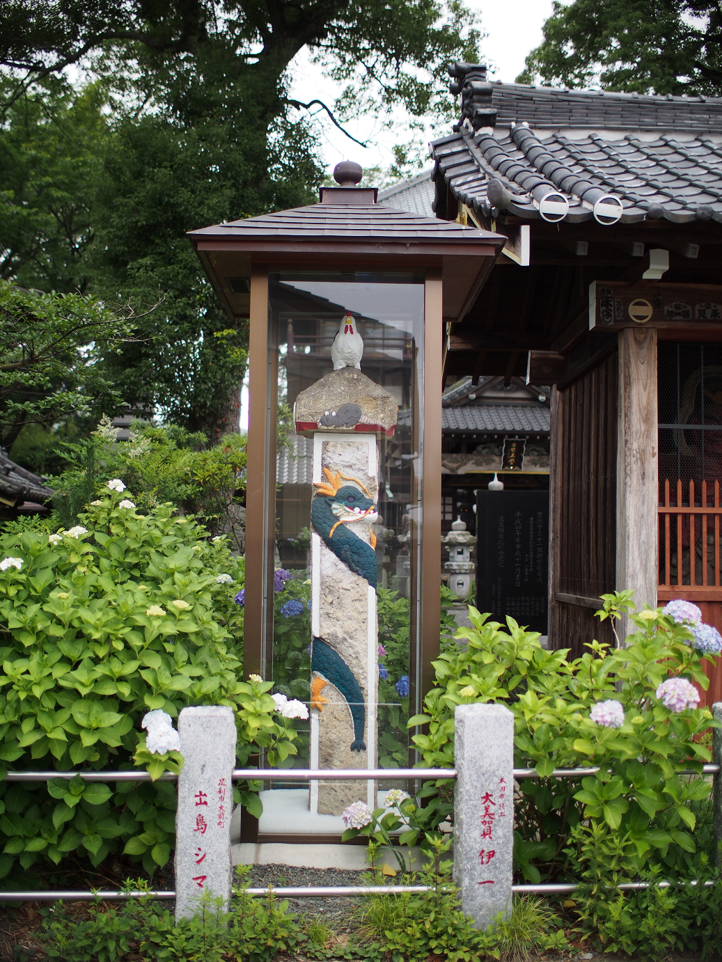 P6150004.jpg