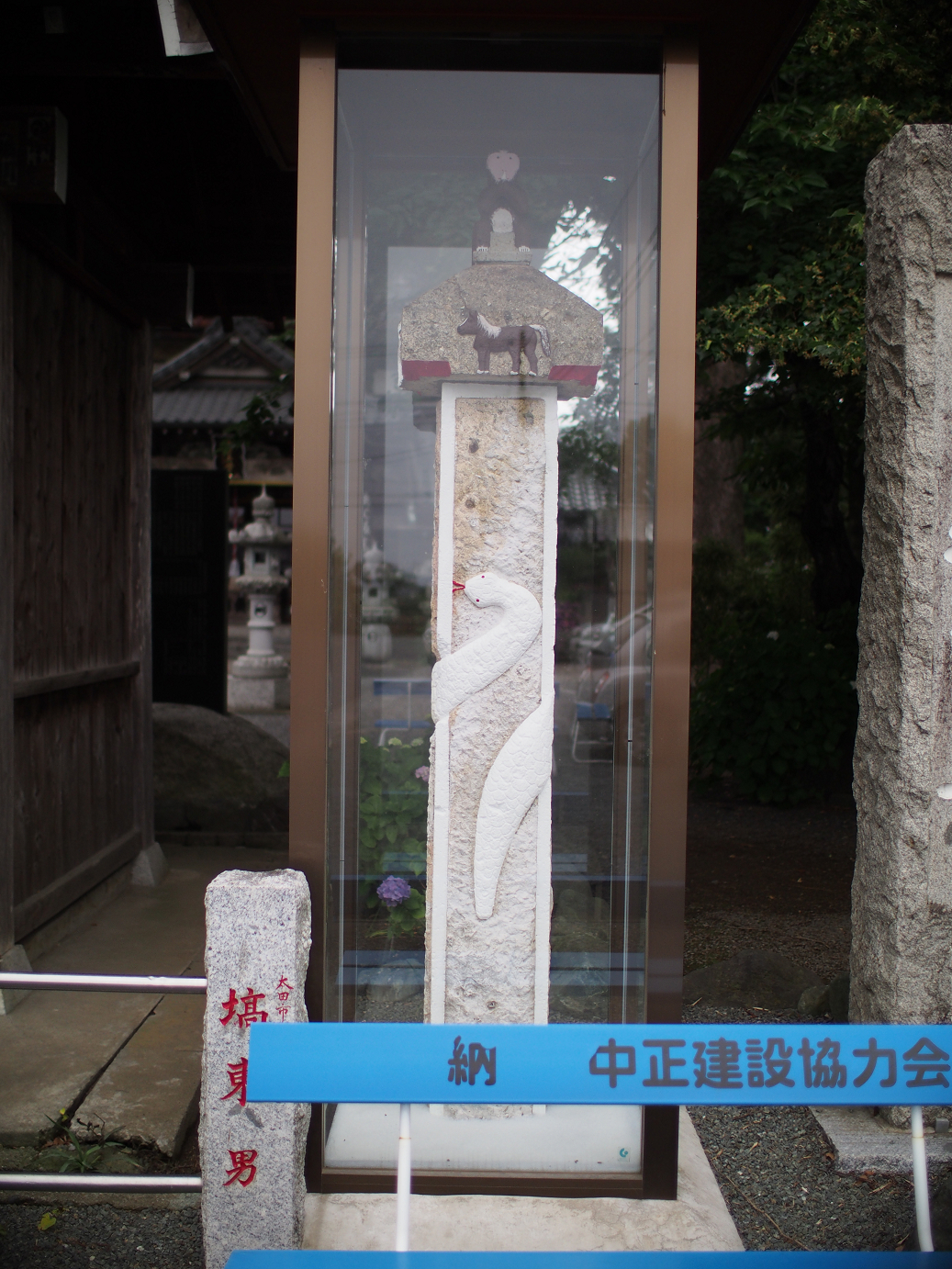 P6150005.jpg